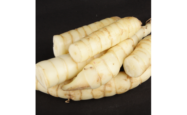 Arrowroot Powder - Buy Pure, 100% Natural Powder Arrowroot Powder - Buy Pure, 100% Natural Powder