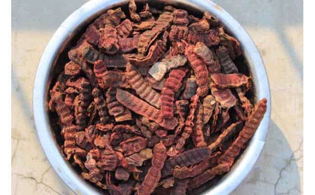 Shikakai Powder - The Best Natural, Healthy Alternative to Shampoo Shikakai Powder - The Best Natural, Healthy Alternative to Shampoo